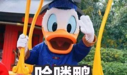 娱乐吃瓜鸭,吃瓜鸭带你探秘明星幕后故事