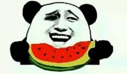 娱乐吃瓜酱好物,揭秘明星私藏神器，带你领略明星生活魅力