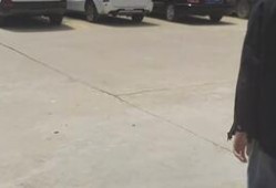 娱乐吃瓜鸭,吃瓜鸭带你探秘明星幕后故事